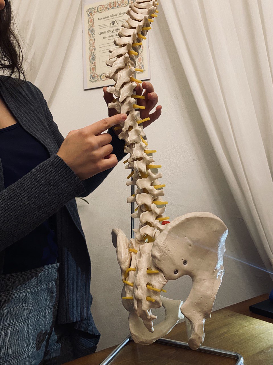 Il chiropratico maneggia un modello di spina dorsale durante una seduta di chiropratica a rimini